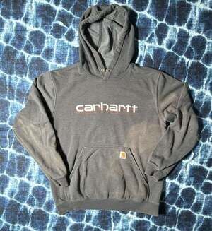 Carhartt Men's Rain Defender Loose Fit Midweight Logo Graphic Pullover Hoodie